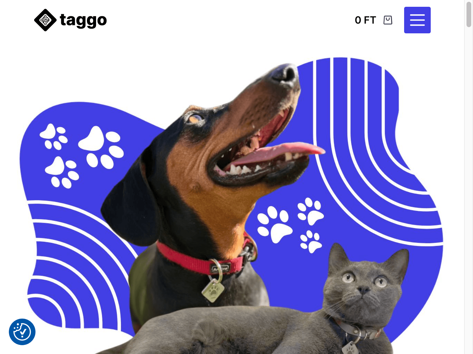 Website for taggo.hu